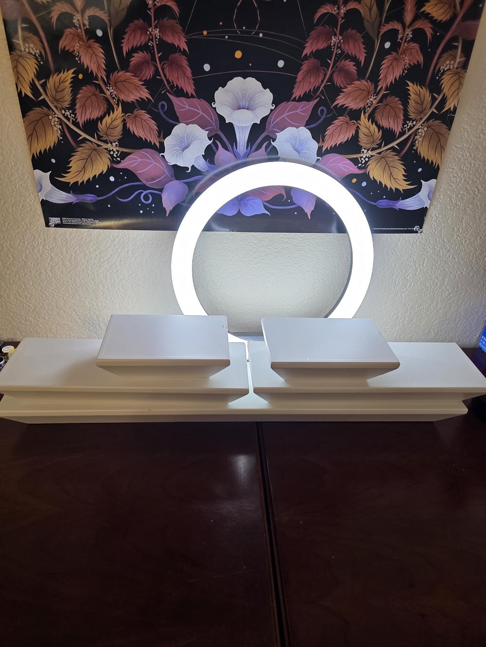 White Floating Shelf Set